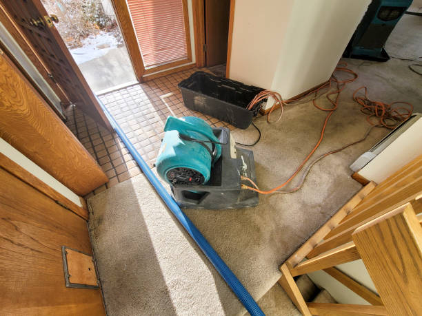 Best Local water damage restoration  in New River, AZ