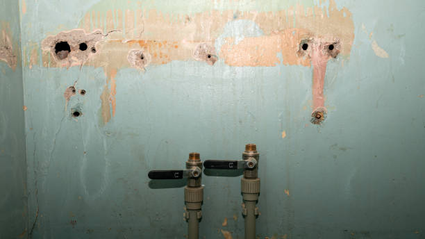 Best Sewage cleanup and water damage restoration  in New River, AZ
